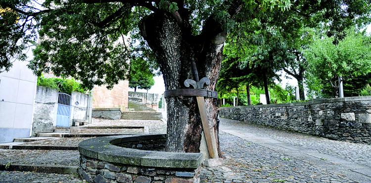 Freixo Duarte D’ Armas