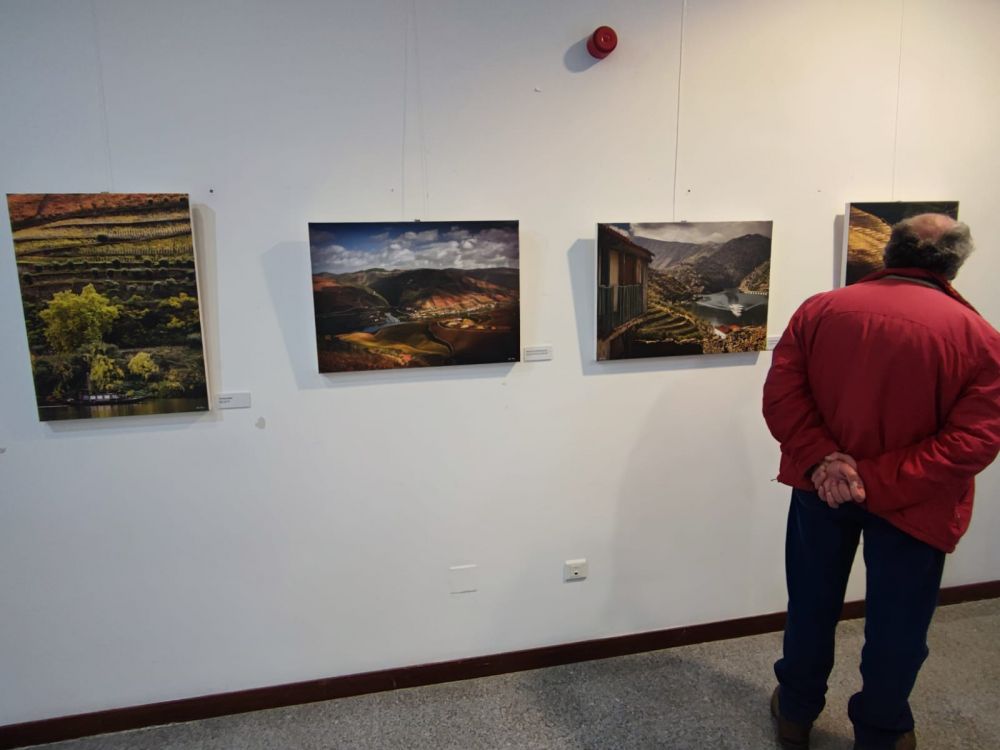 Inauguração da exposição “Rui Pires na Coleção Museu do Douro”